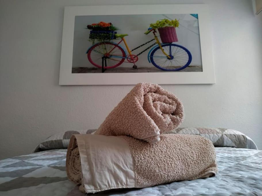 Apartamento Medina Cerca De La Ribera قرطبة المظهر الخارجي الصورة